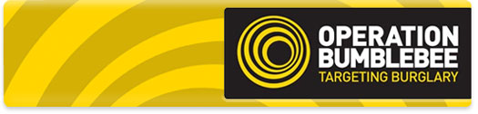 Operation Bumblebee logo