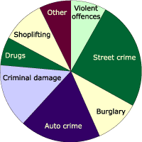 Pie chart: Percentage of youths of total accused data April 00-Jan 01